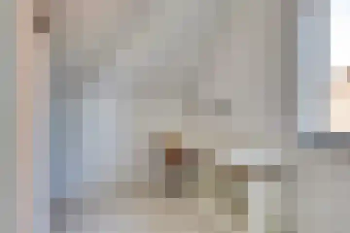 Utrechtse Heuvelrug 278 Vleuten thumbnail 34