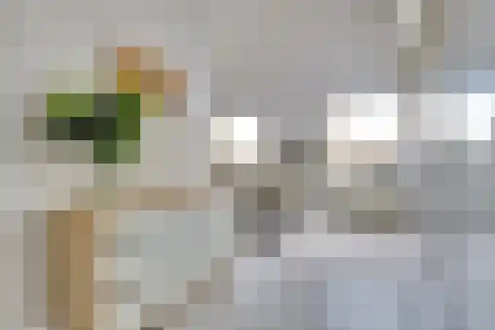 Utrechtse Heuvelrug 278 Vleuten thumbnail 37