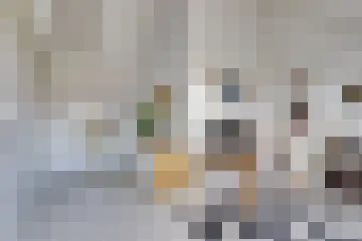 Utrechtse Heuvelrug 278 Vleuten thumbnail 38