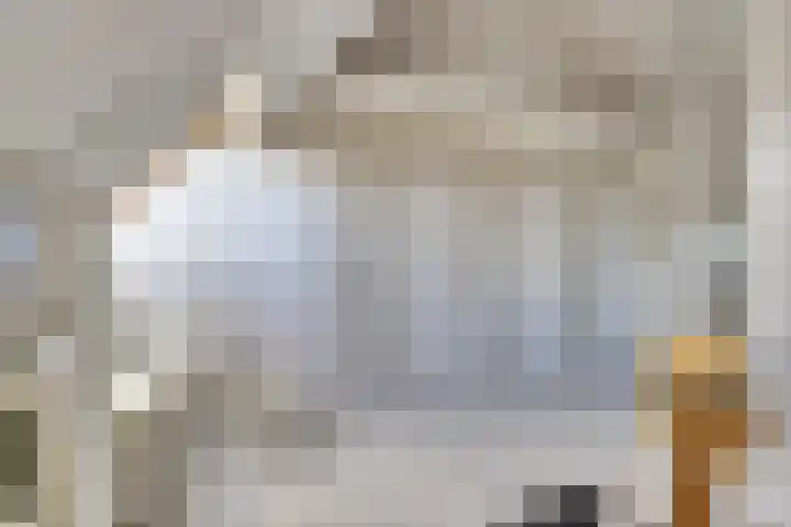 Utrechtse Heuvelrug 278 Vleuten thumbnail 39