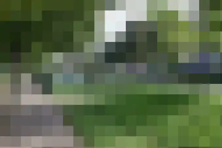 Utrechtse Heuvelrug 278 Vleuten thumbnail 41