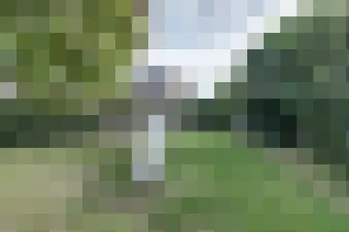 Utrechtse Heuvelrug 278 Vleuten thumbnail 42