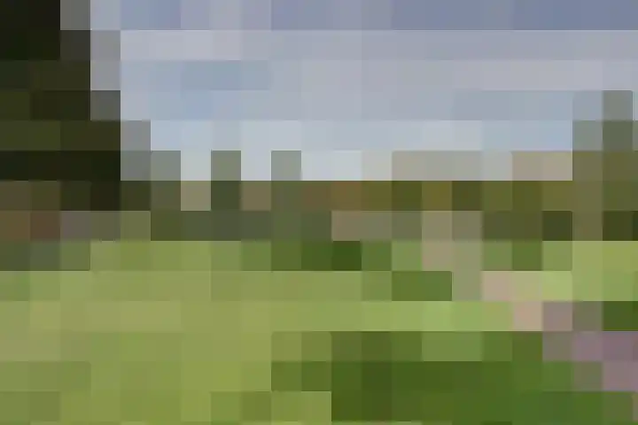 Utrechtse Heuvelrug 278 Vleuten thumbnail 43