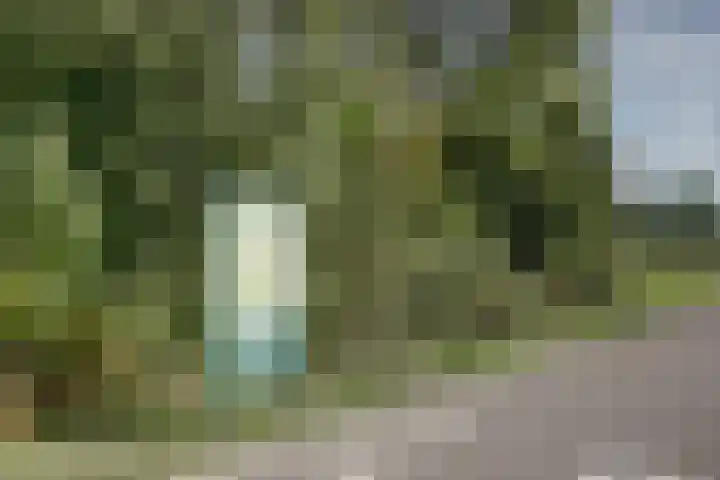 Utrechtse Heuvelrug 278 Vleuten thumbnail 44