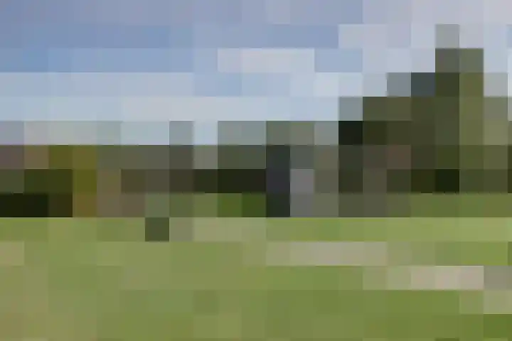 Utrechtse Heuvelrug 278 Vleuten thumbnail 45