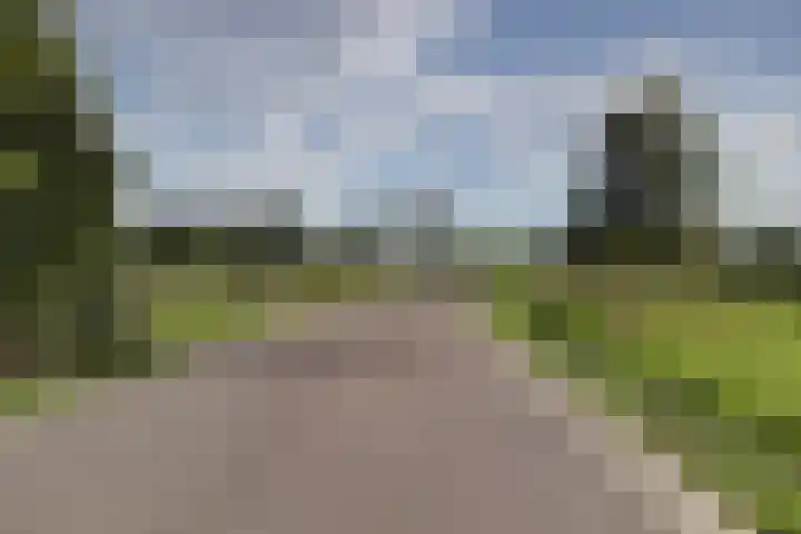 Utrechtse Heuvelrug 278 Vleuten thumbnail 46
