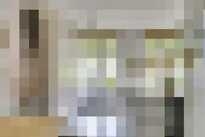 Utrechtse Heuvelrug 278 Vleuten thumbnail 5