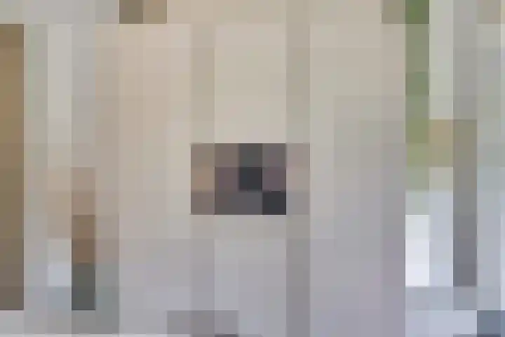 Utrechtse Heuvelrug 278 Vleuten thumbnail 7