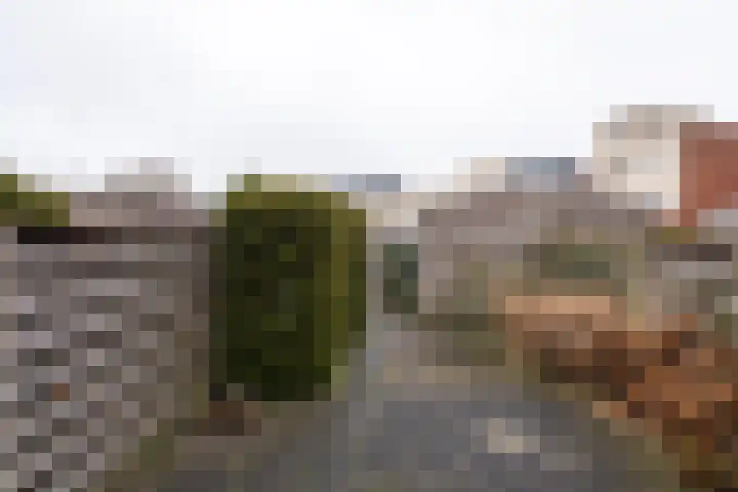 Utrechtse Heuvelrug 36 Vleuten thumbnail 19