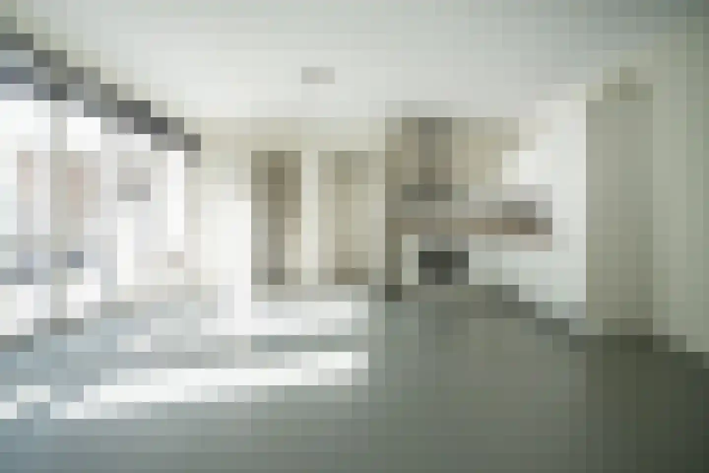 Utrechtse Jaagpad 10 K Leiden thumbnail 5