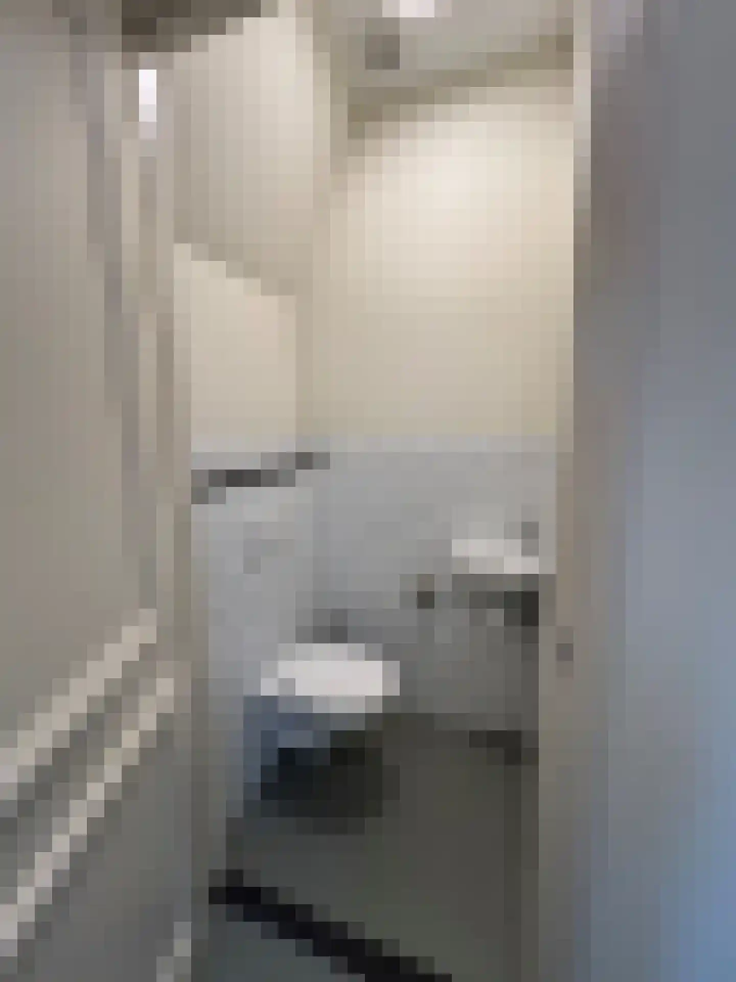 Utrechtse Jaagpad 10 K Leiden thumbnail 8