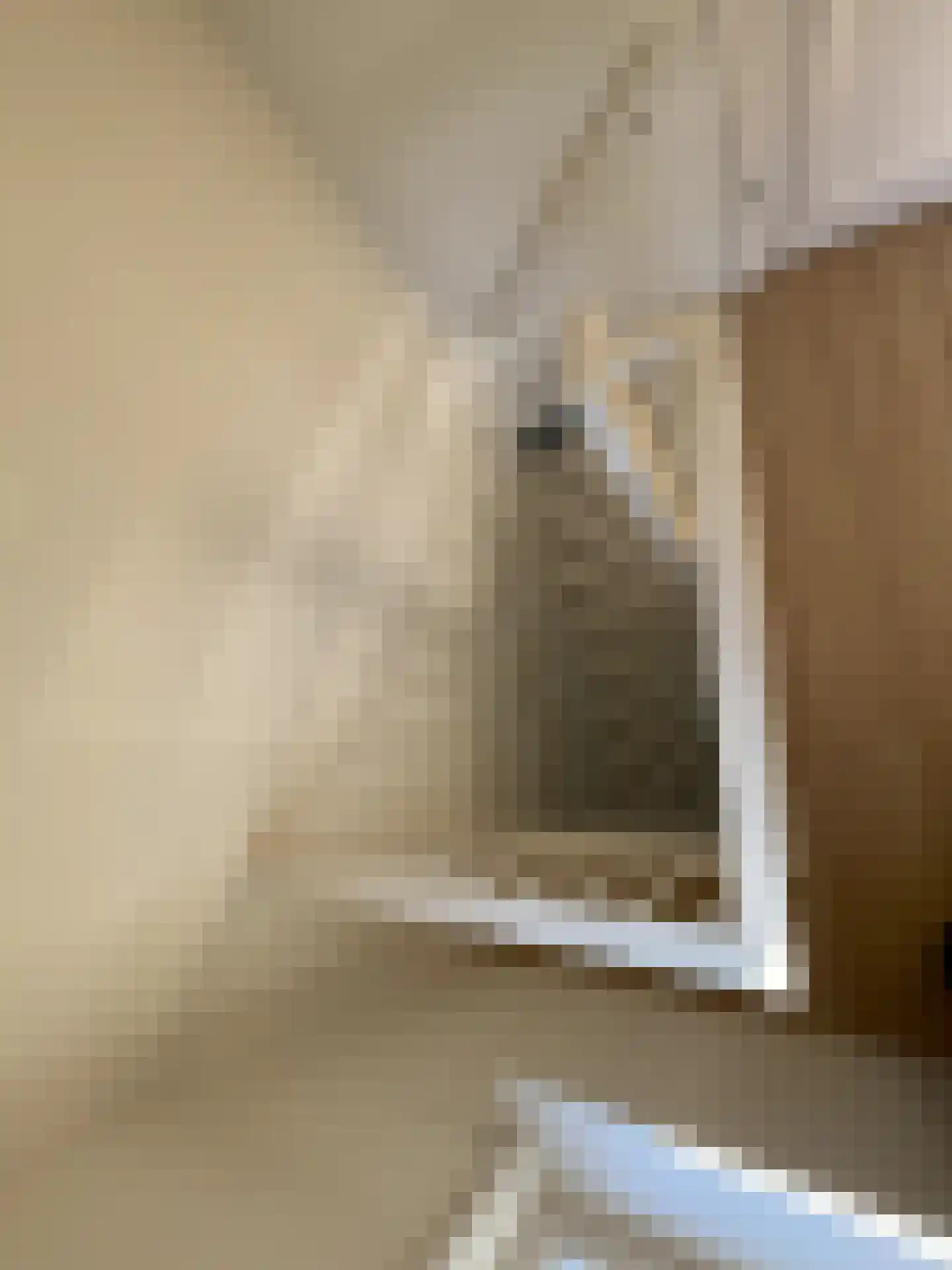 Utrechtse Jaagpad 10 N Leiden thumbnail 16
