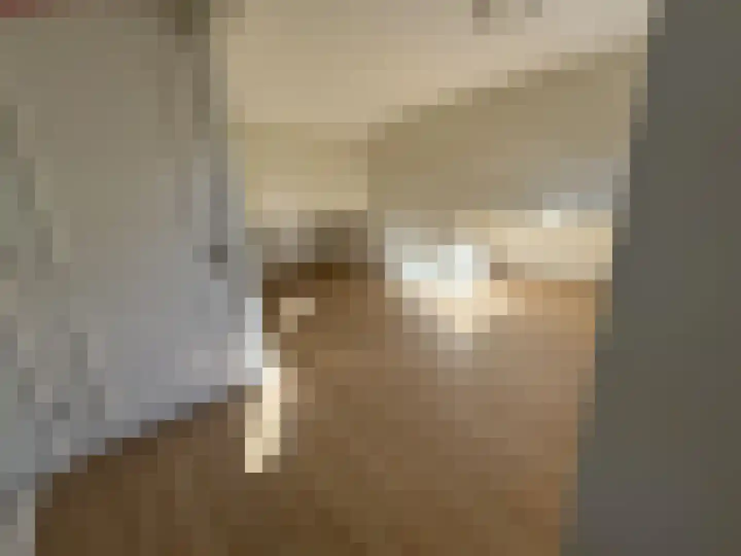 Utrechtse Jaagpad 10 N Leiden thumbnail 17