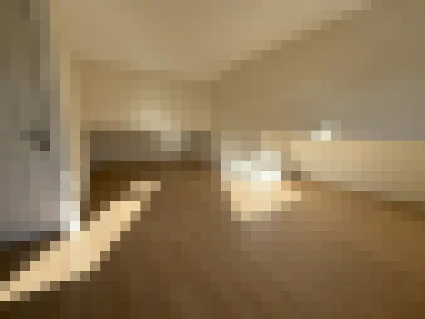 Utrechtse Jaagpad 10 N Leiden thumbnail 18
