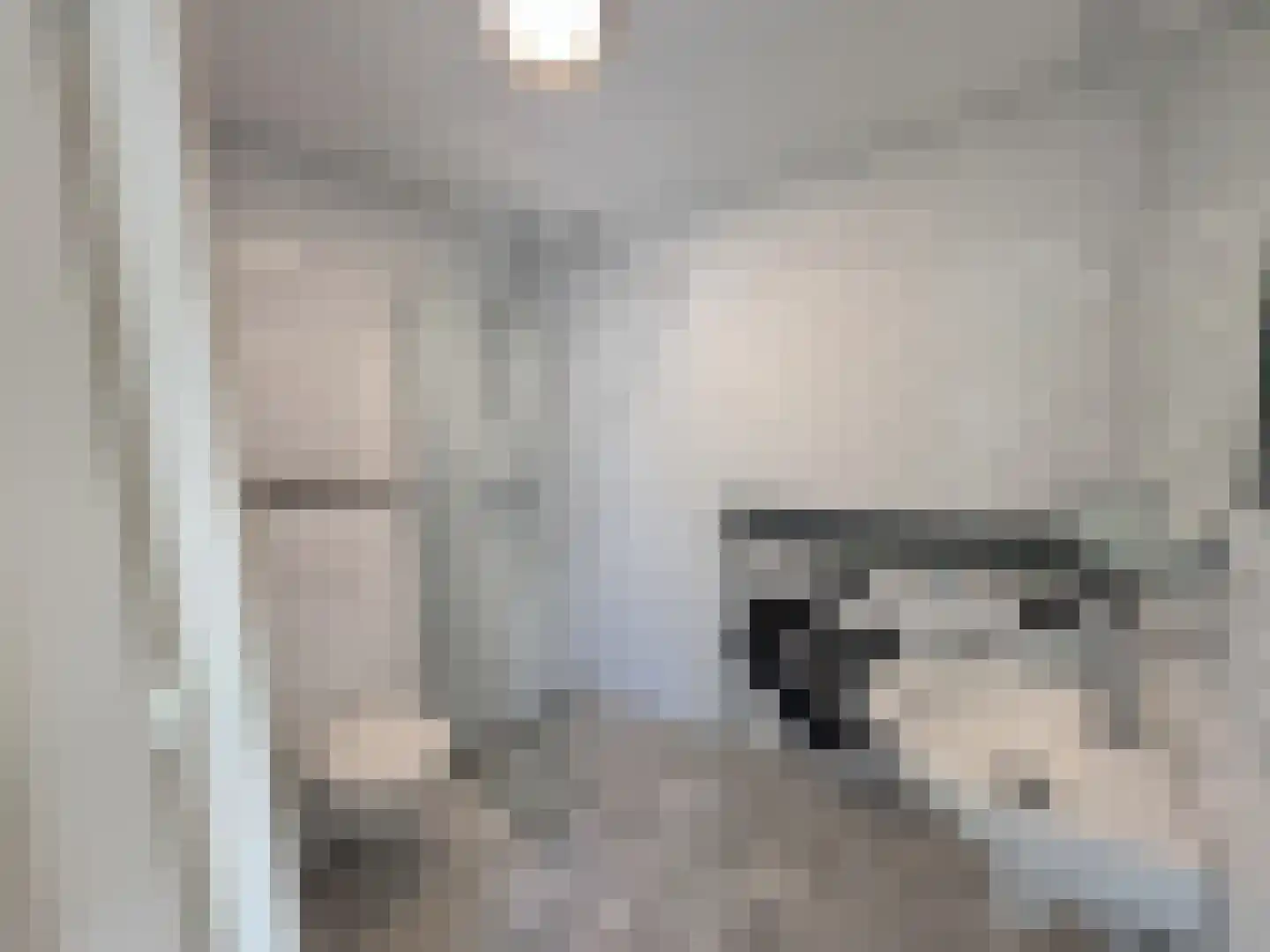 Utrechtse Jaagpad 10 N Leiden thumbnail 22