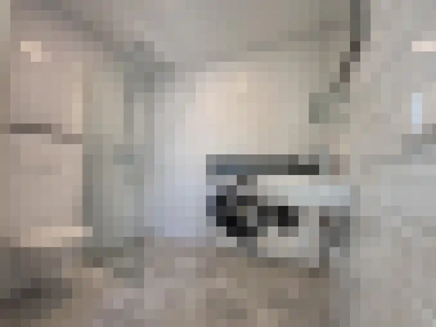 Utrechtse Jaagpad 10 N Leiden thumbnail 23