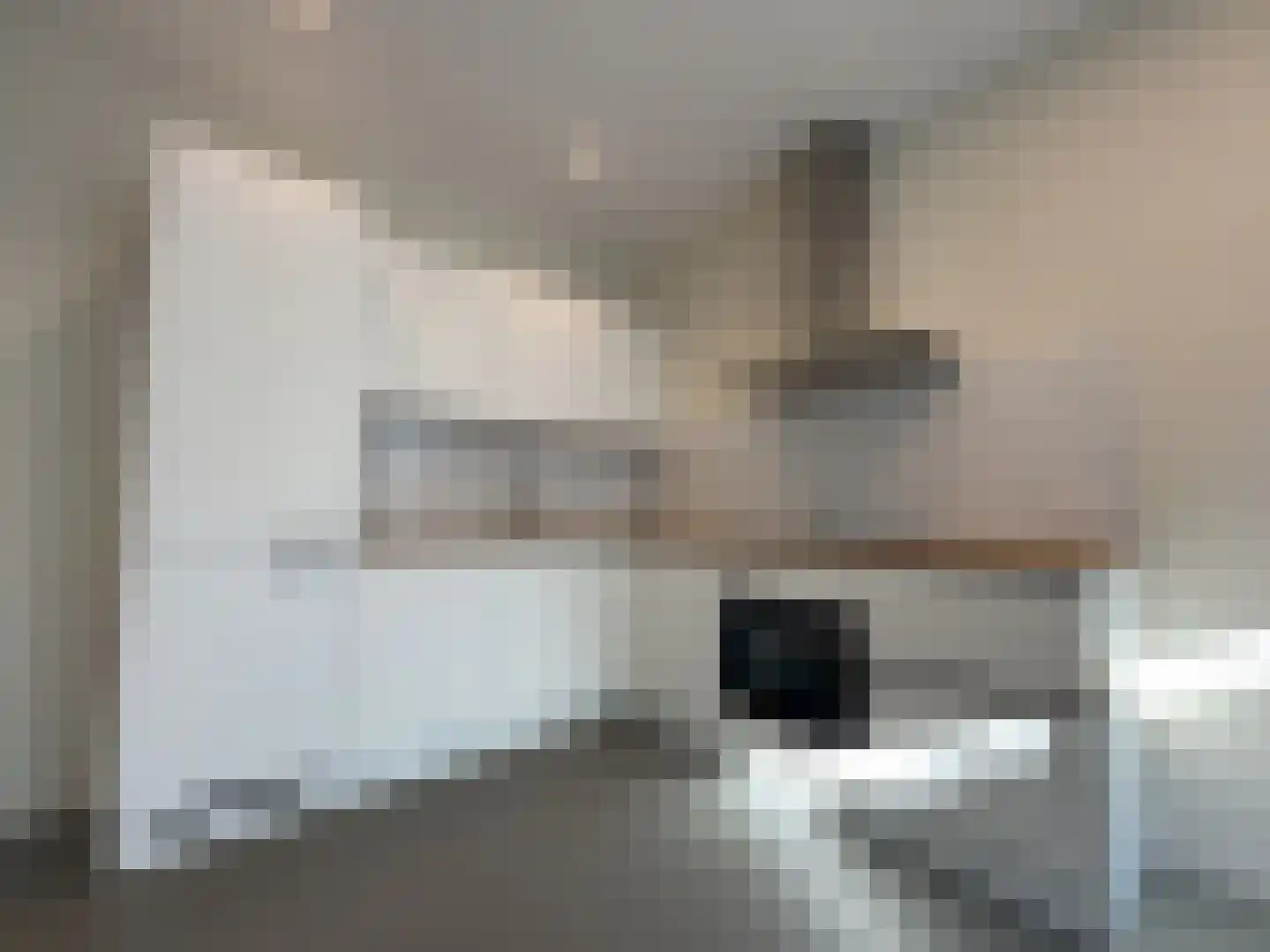 Utrechtse Jaagpad 10 N Leiden thumbnail 6