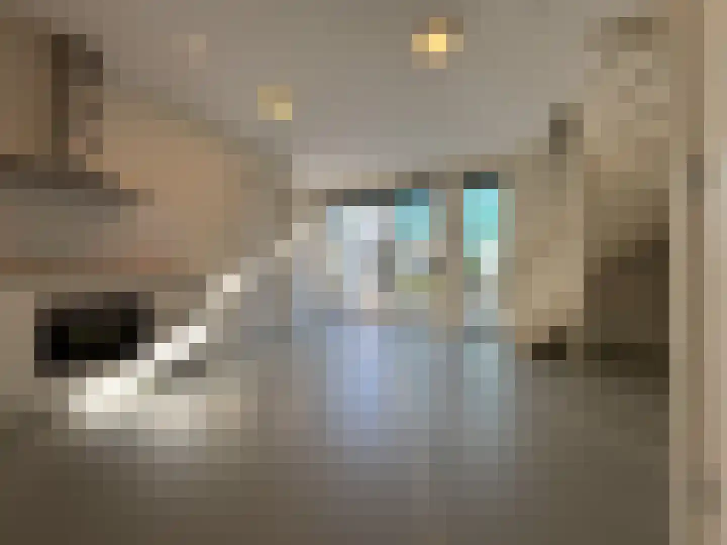 Utrechtse Jaagpad 10 N Leiden thumbnail 7