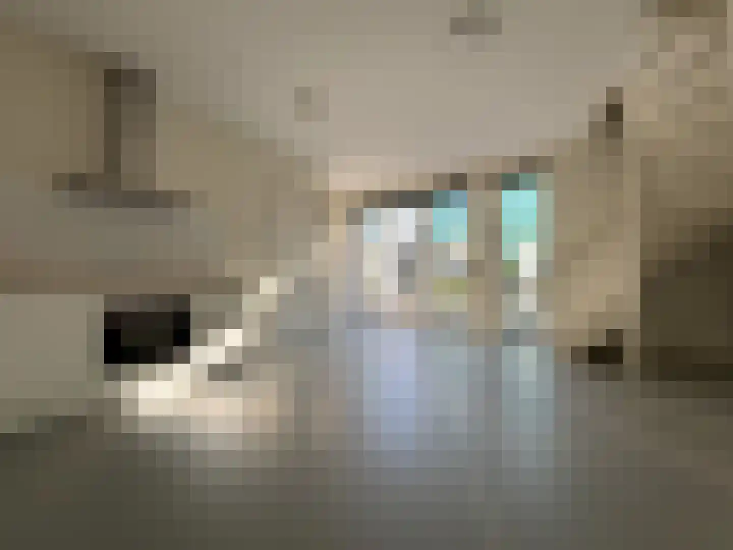 Utrechtse Jaagpad 10 N Leiden thumbnail 8