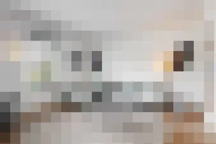 Utrechtse Jaagpad 106 D Leiden thumbnail 10