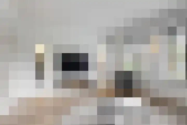 Utrechtse Jaagpad 106 D Leiden thumbnail 11