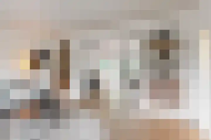 Utrechtse Jaagpad 106 D Leiden thumbnail 12