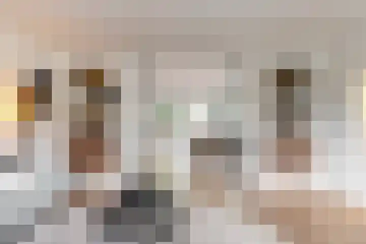 Utrechtse Jaagpad 106 D Leiden thumbnail 13
