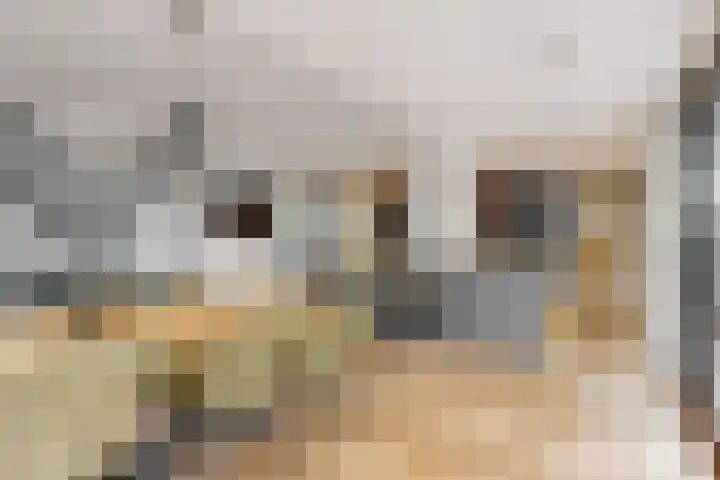 Utrechtse Jaagpad 106 D Leiden thumbnail 16