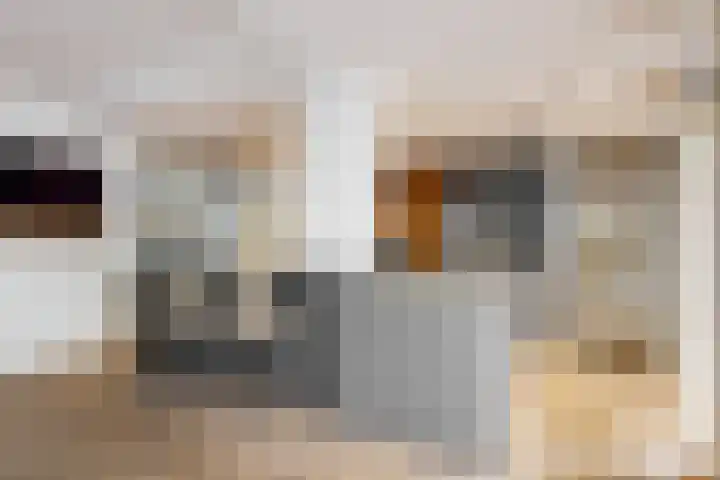 Utrechtse Jaagpad 106 D Leiden thumbnail 18