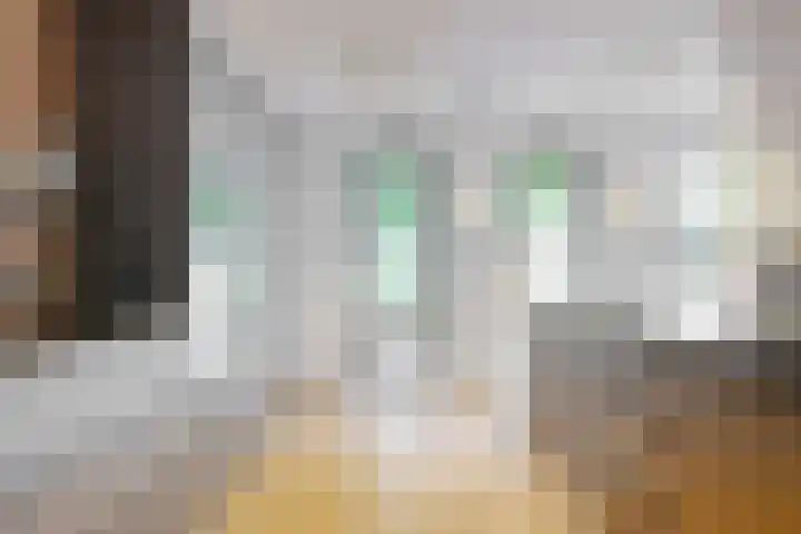 Utrechtse Jaagpad 106 D Leiden thumbnail 20