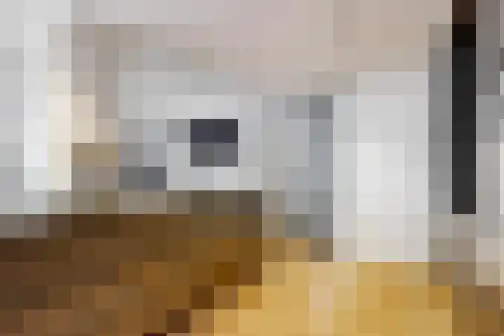 Utrechtse Jaagpad 106 D Leiden thumbnail 21