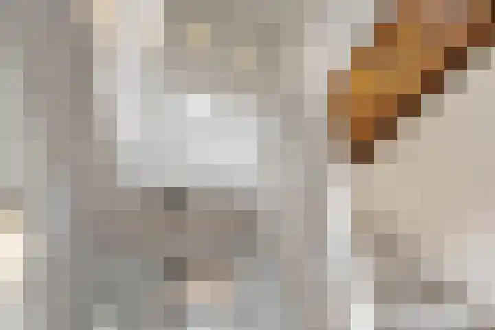 Utrechtse Jaagpad 106 D Leiden thumbnail 27