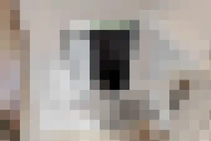 Utrechtse Jaagpad 106 D Leiden thumbnail 28
