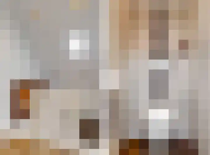 Utrechtse Jaagpad 106 D Leiden thumbnail 30