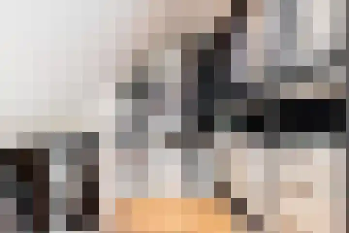 Utrechtse Jaagpad 106 D Leiden thumbnail 34