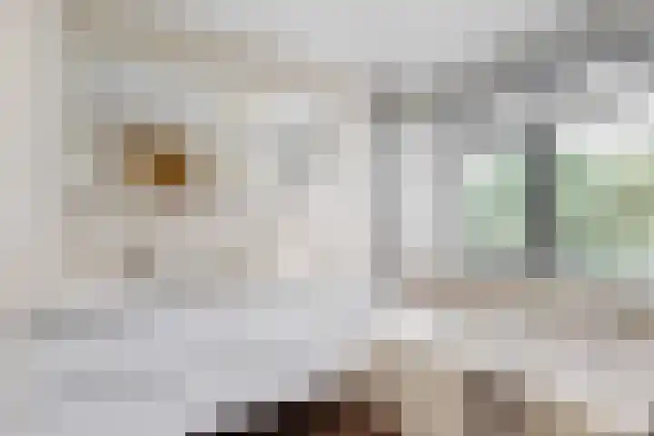 Utrechtse Jaagpad 106 D Leiden thumbnail 38