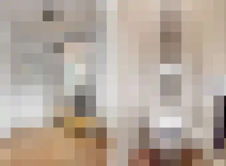 Utrechtse Jaagpad 106 D Leiden thumbnail 8
