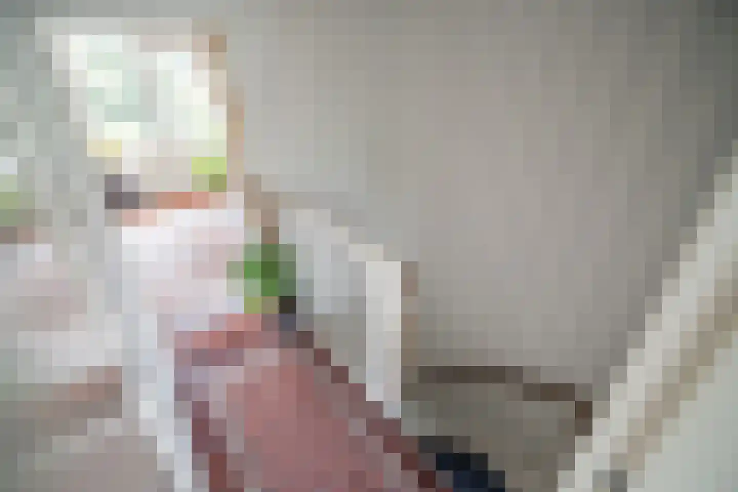 Utrechtse Jaagpad 114 Leiden thumbnail 19