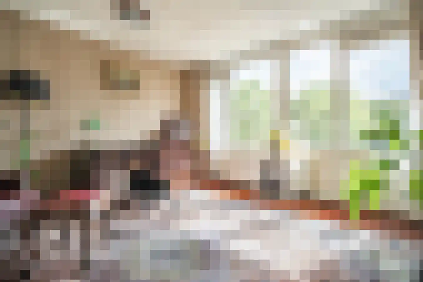 Utrechtse Jaagpad 114 Leiden thumbnail 20