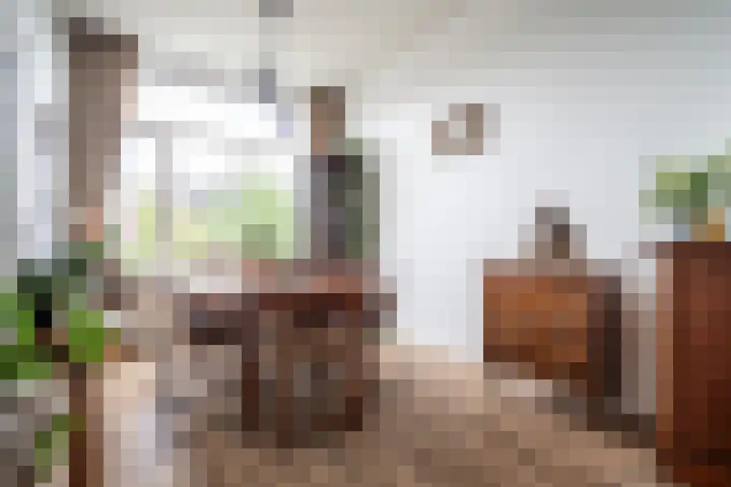 Utrechtse Jaagpad 114 Leiden thumbnail 39