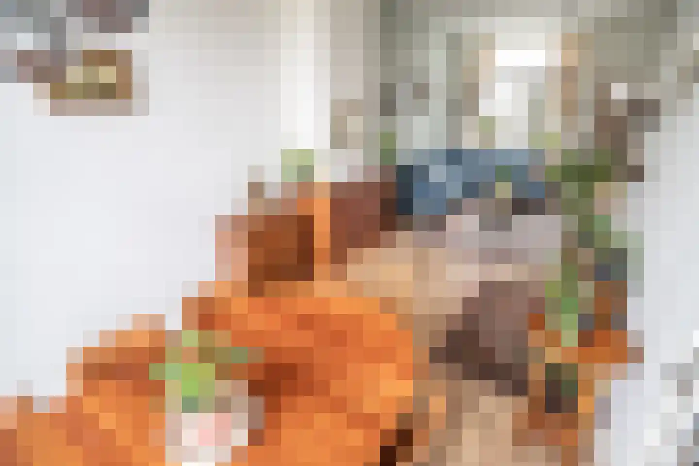 Utrechtse Jaagpad 114 Leiden thumbnail 4