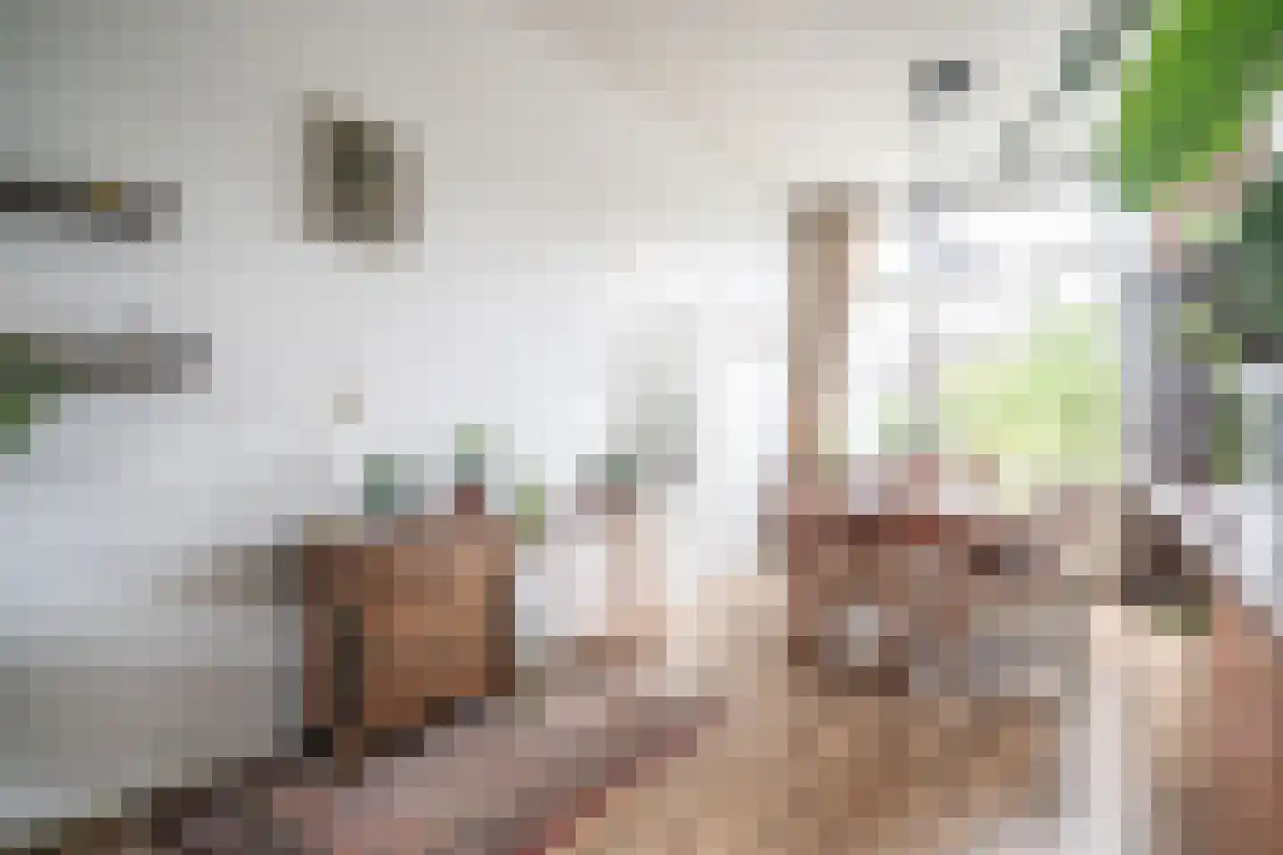 Utrechtse Jaagpad 114 Leiden thumbnail 41
