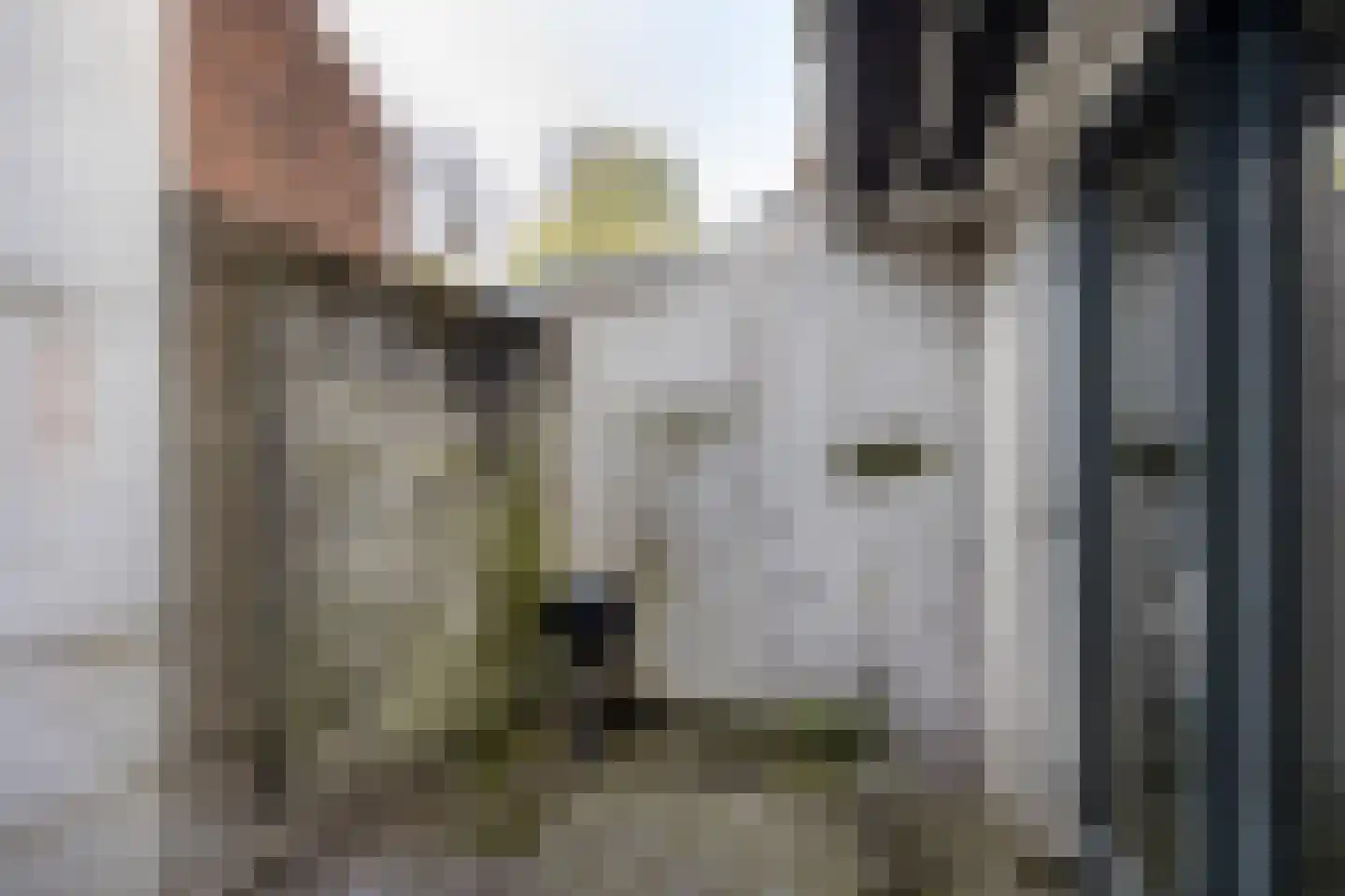 Utrechtse Jaagpad 40 Leiden thumbnail 19