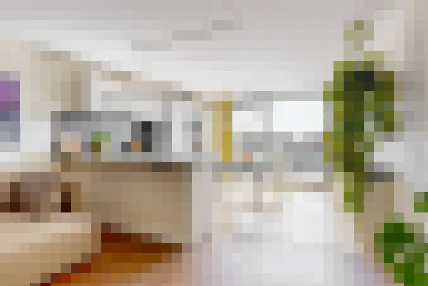 Utrechtse Jaagpad 47 F Leiden thumbnail 11