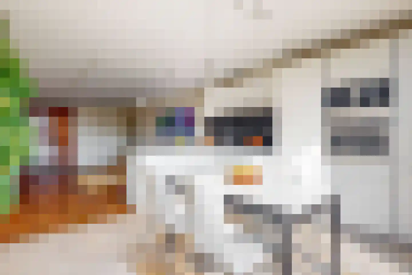 Utrechtse Jaagpad 47 F Leiden thumbnail 13