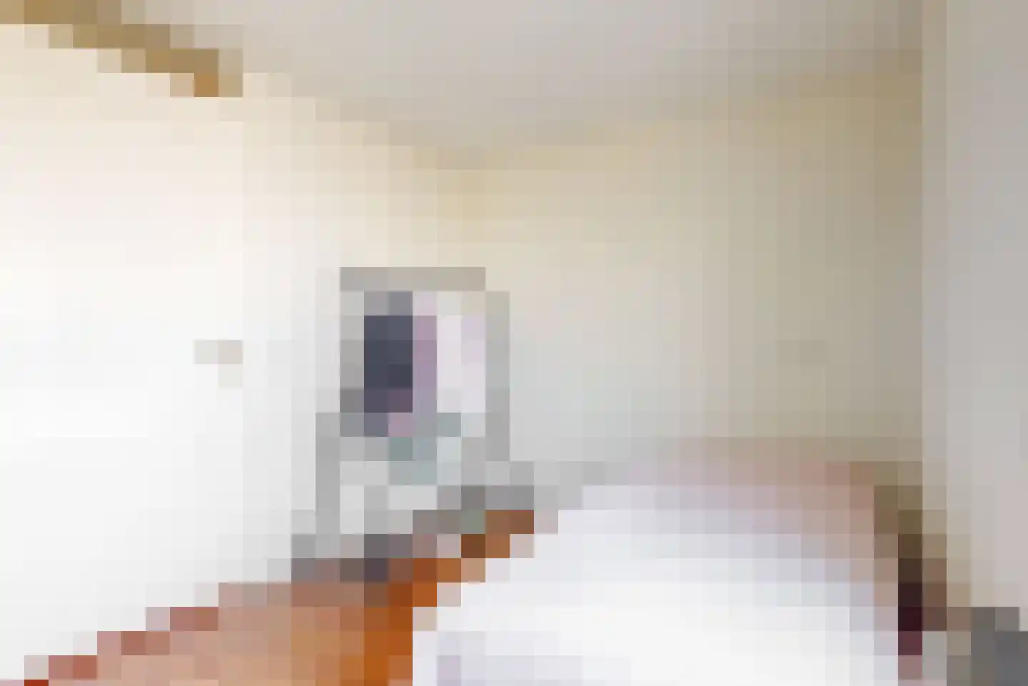 Utrechtse Jaagpad 47 F Leiden thumbnail 22