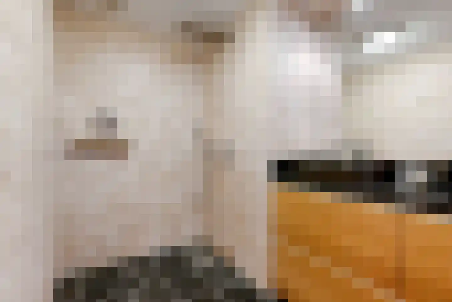 Utrechtse Jaagpad 47 F Leiden thumbnail 26