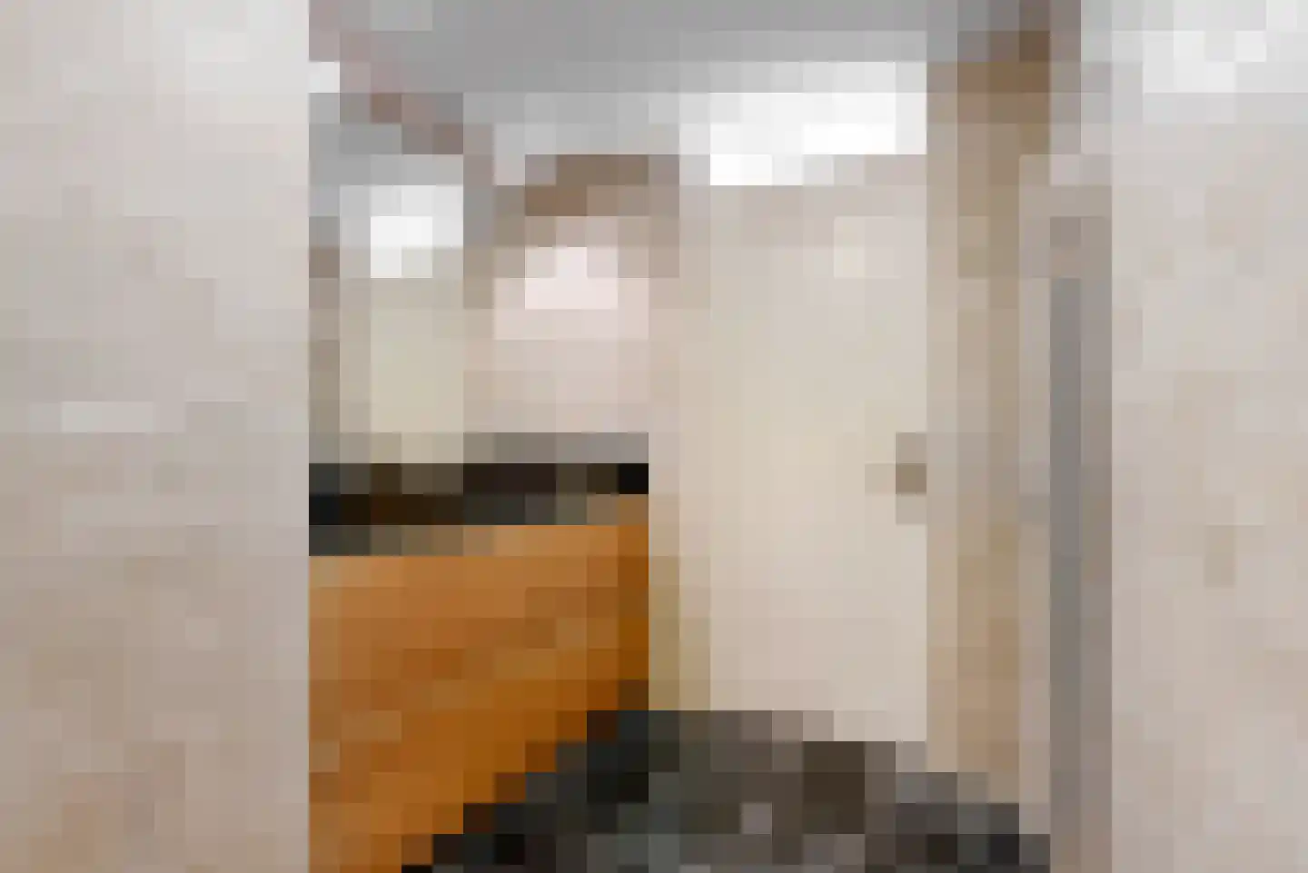 Utrechtse Jaagpad 47 F Leiden thumbnail 27