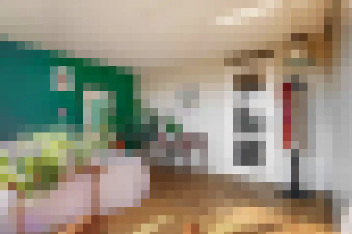 Utrechtse Jaagpad 47 F Leiden thumbnail 30