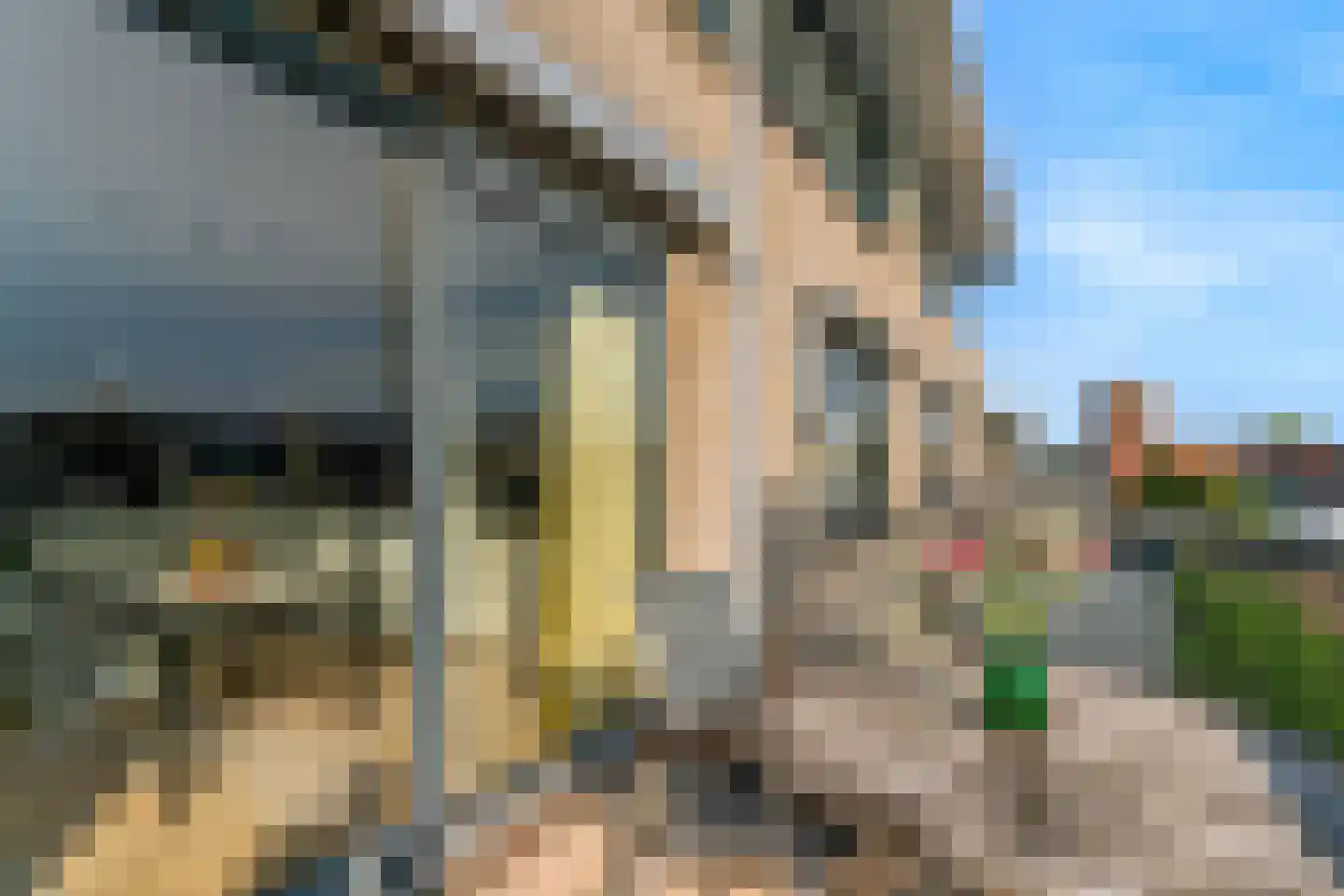 Utrechtse Jaagpad 47 F Leiden thumbnail 32